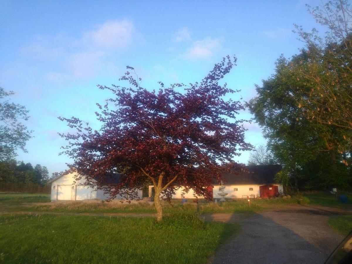 Lavendelbo B&B Hjallerup Экстерьер фото